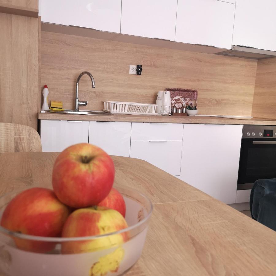 Family Apartment With Garden ซาราเยโว ภายนอก รูปภาพ