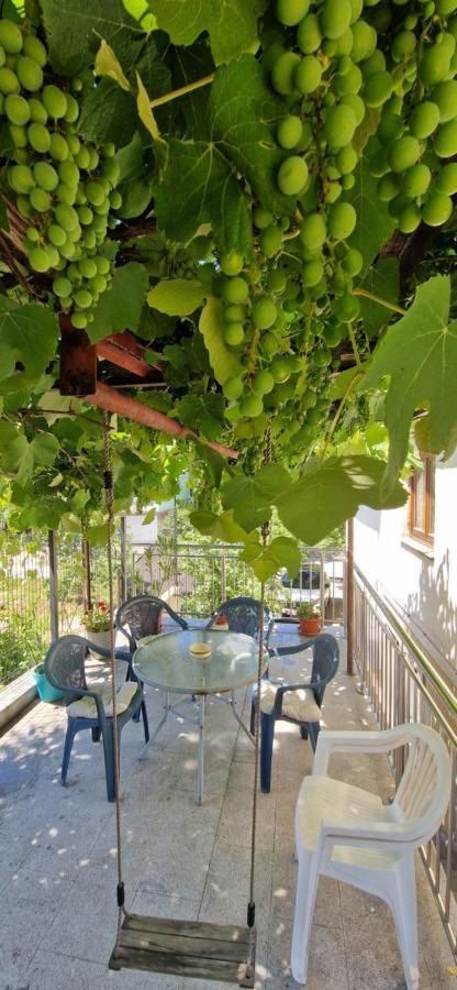 Family Apartment With Garden ซาราเยโว ภายนอก รูปภาพ