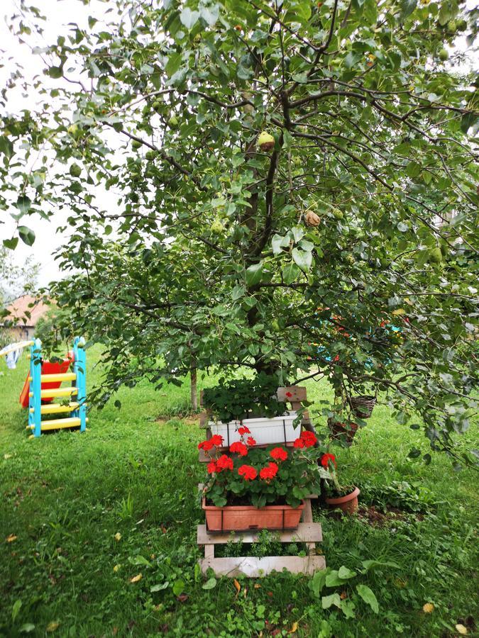 Family Apartment With Garden ซาราเยโว ภายนอก รูปภาพ