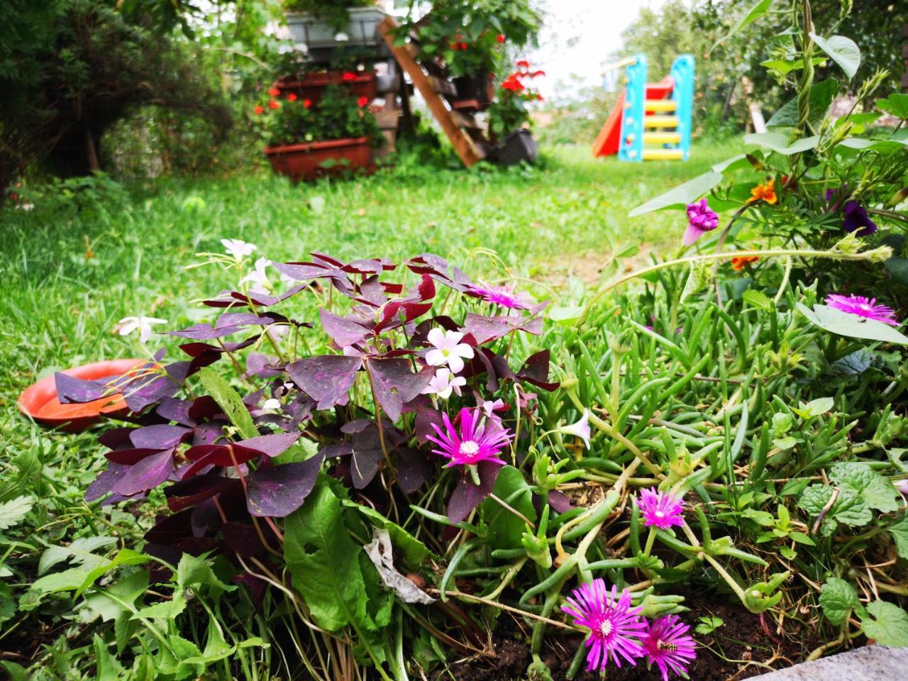 Family Apartment With Garden ซาราเยโว ภายนอก รูปภาพ