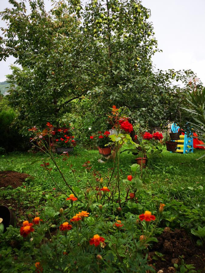 Family Apartment With Garden ซาราเยโว ภายนอก รูปภาพ
