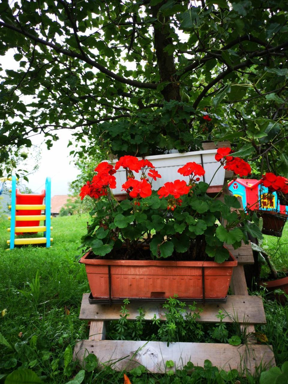 Family Apartment With Garden ซาราเยโว ภายนอก รูปภาพ
