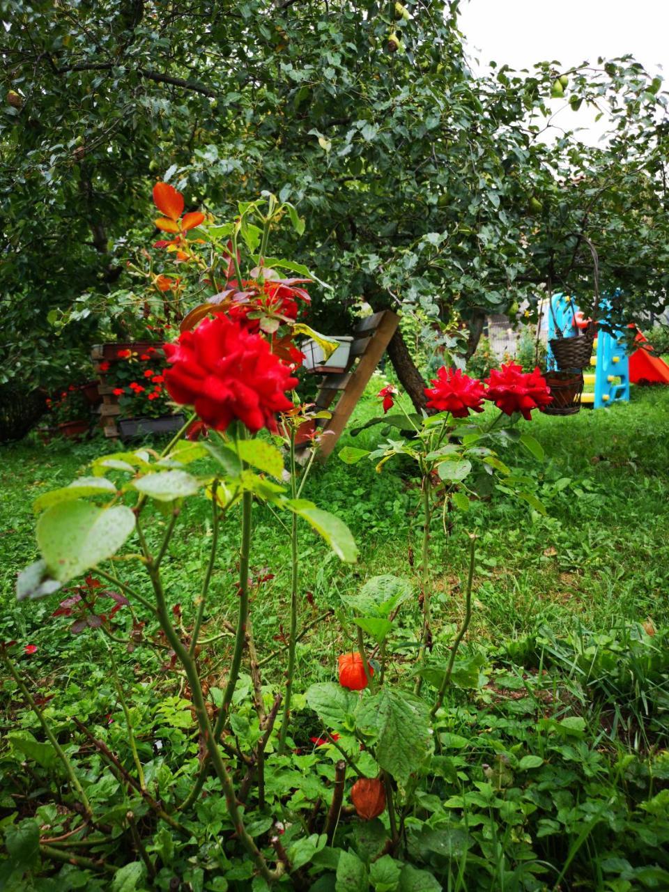 Family Apartment With Garden ซาราเยโว ภายนอก รูปภาพ