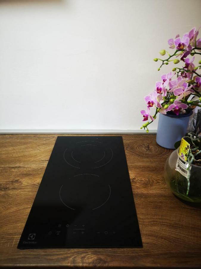 Family Apartment With Garden ซาราเยโว ภายนอก รูปภาพ
