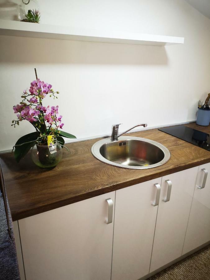 Family Apartment With Garden ซาราเยโว ห้อง รูปภาพ