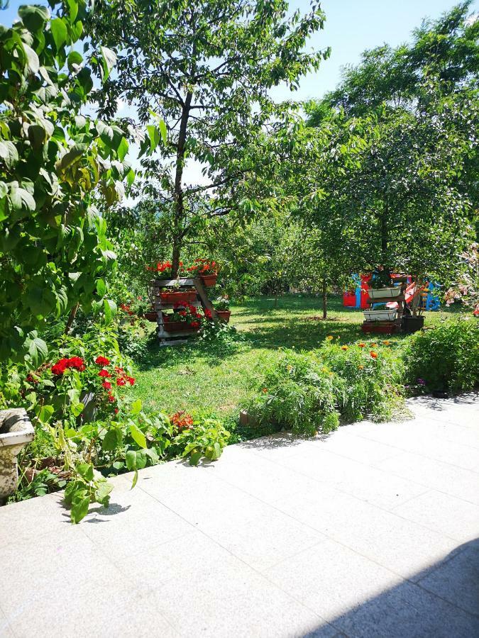 Family Apartment With Garden ซาราเยโว ภายนอก รูปภาพ